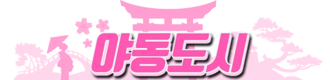 야동도시